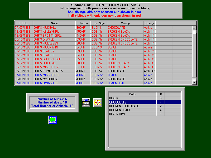 Kin Screen